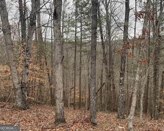 4 Acres of Residential Land for Sale in Talking Rock, Georgia