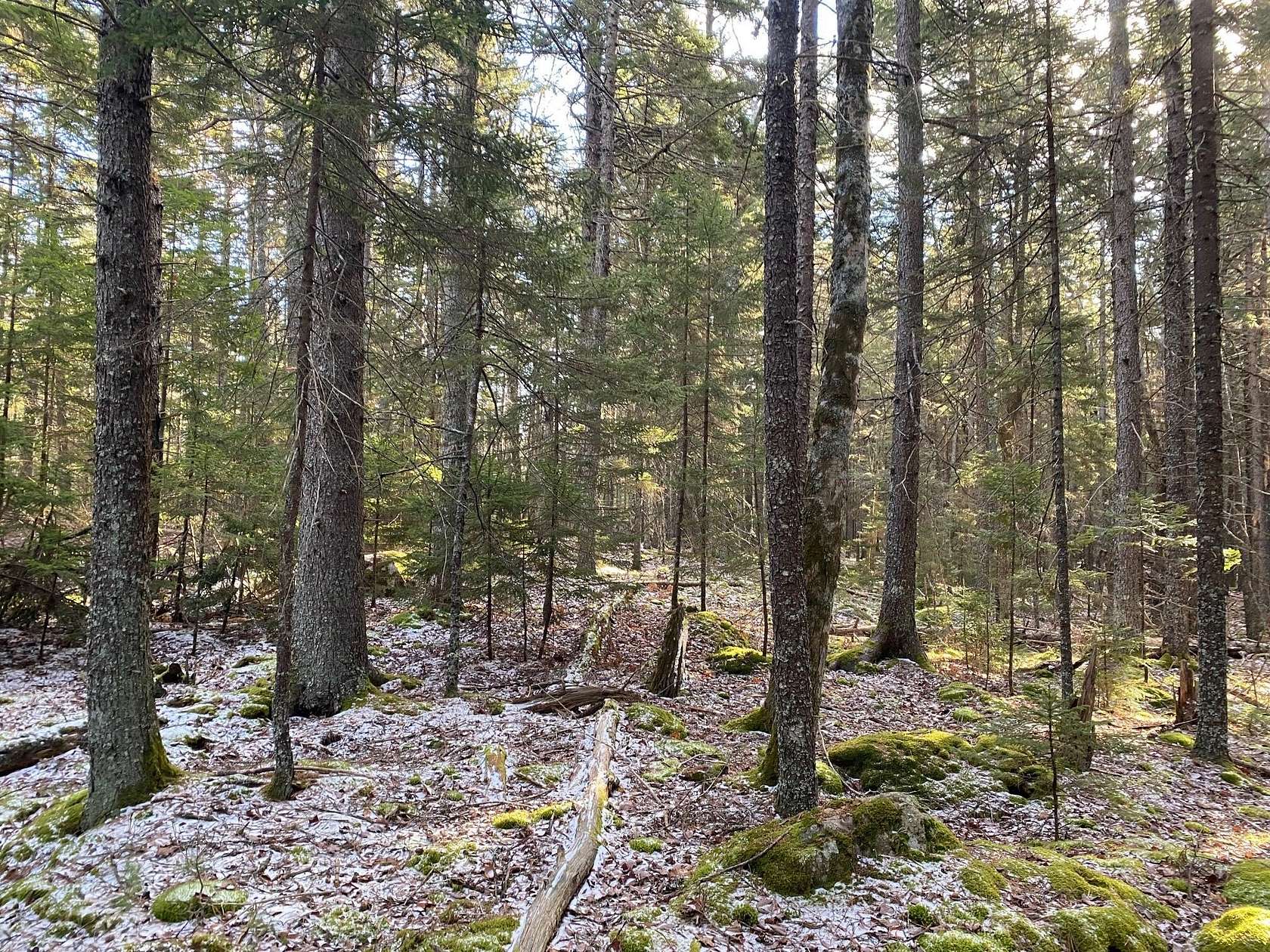 1 Acre of Residential Land for Sale in Mount Desert Town, Maine