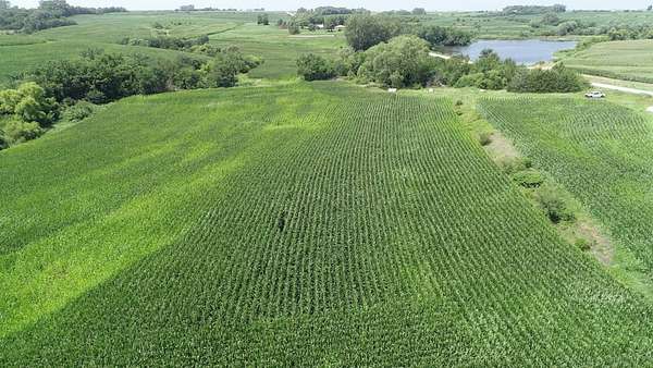 98.5 Acres of Agricultural Land for Sale in Gravity, Iowa