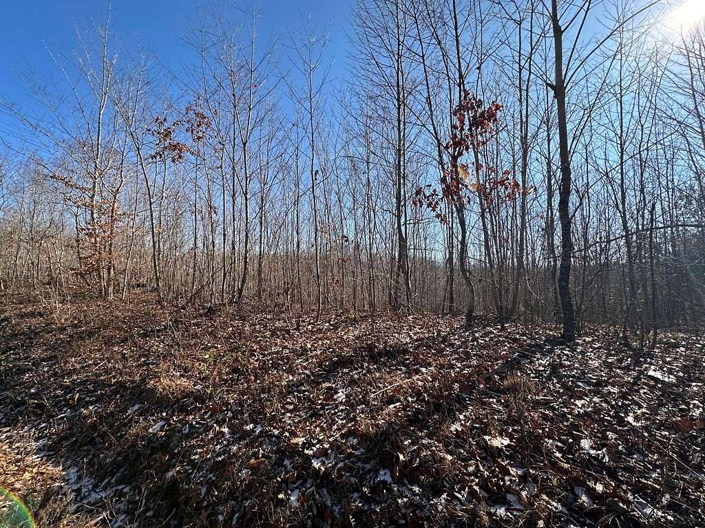 162.45 Acres of Land for Sale in Sunbright, Tennessee