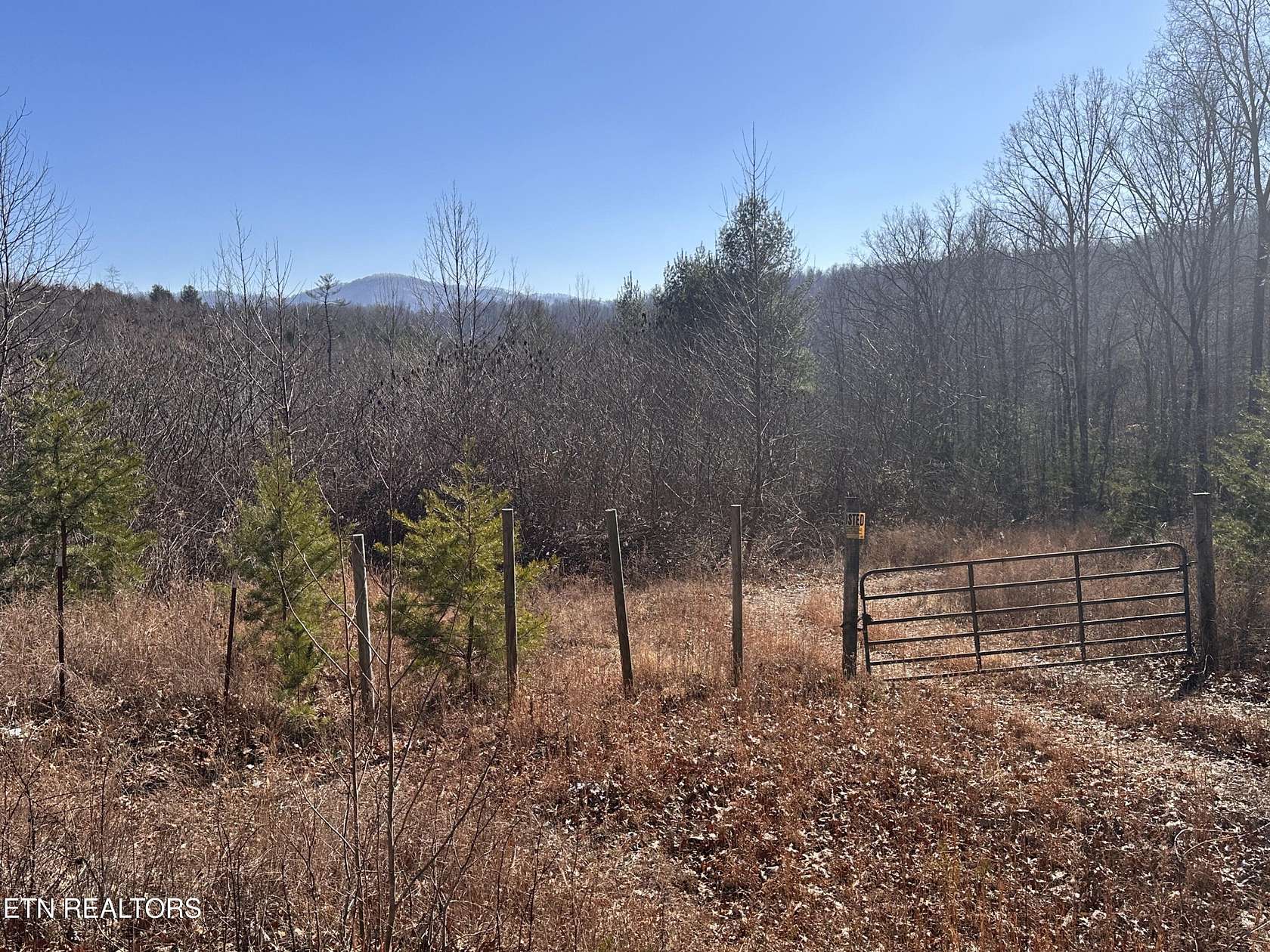 162 Acres of Recreational Land & Farm for Sale in Sunbright, Tennessee