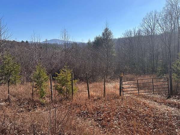 162 Acres of Land for Sale in Sunbright, Tennessee