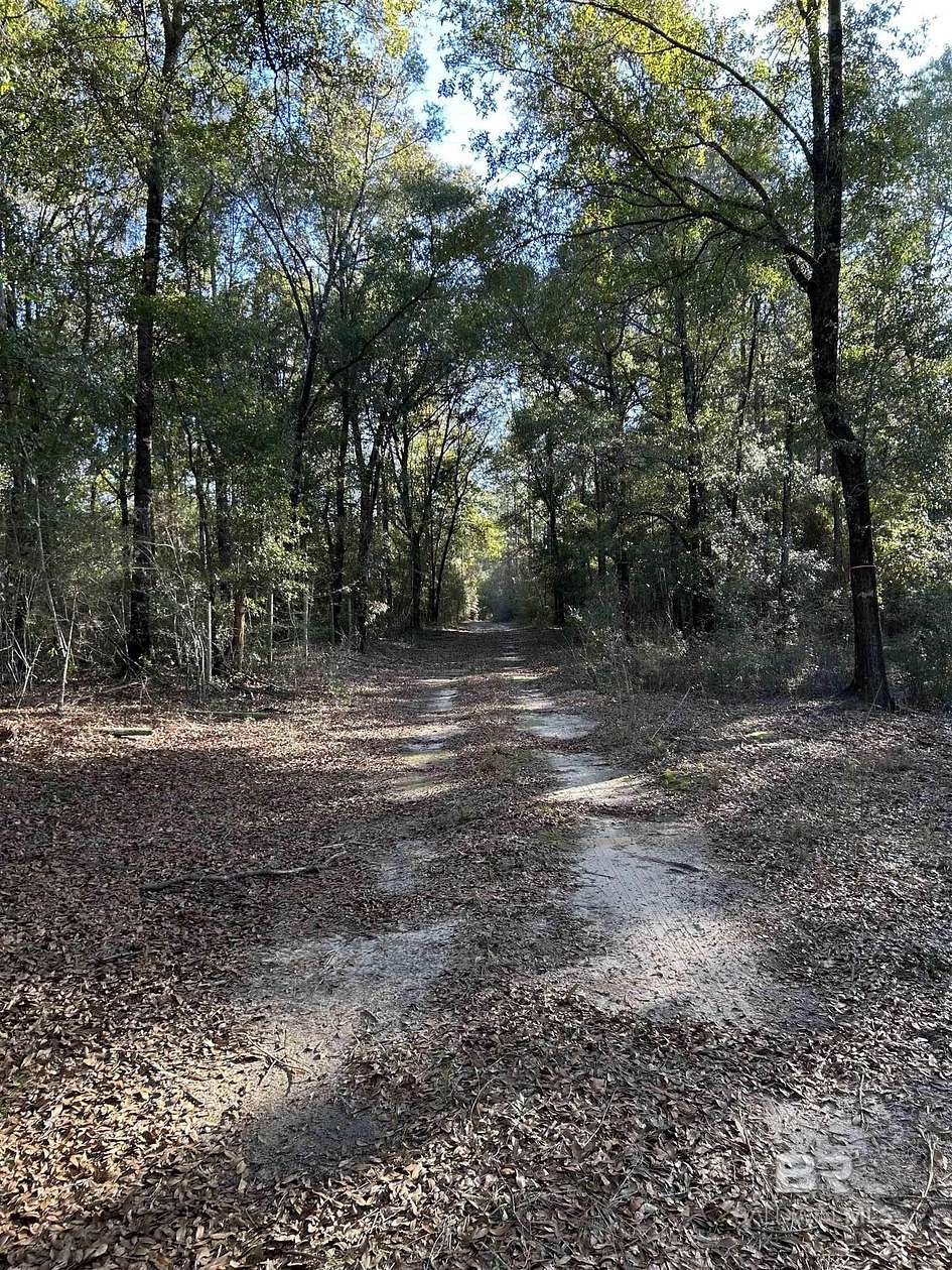 9.8 Acres of Residential Land for Sale in Mobile, Alabama