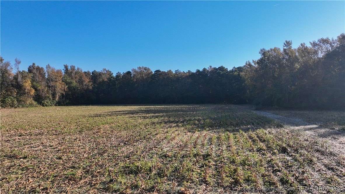 70.6 Acres of Recreational Land for Sale in Bladenboro, North Carolina