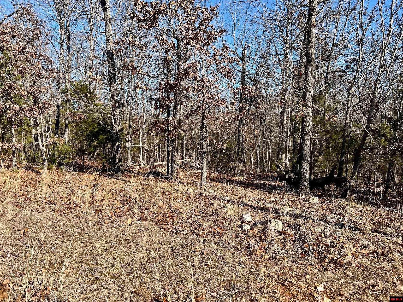 2.93 Acres of Residential Land for Sale in Lakeview, Arkansas