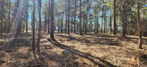 6.59 Acres of Residential Land for Sale in Loris, South Carolina