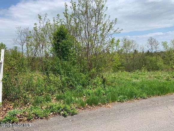 0.31 Acres of Land for Sale in Ravena, New York