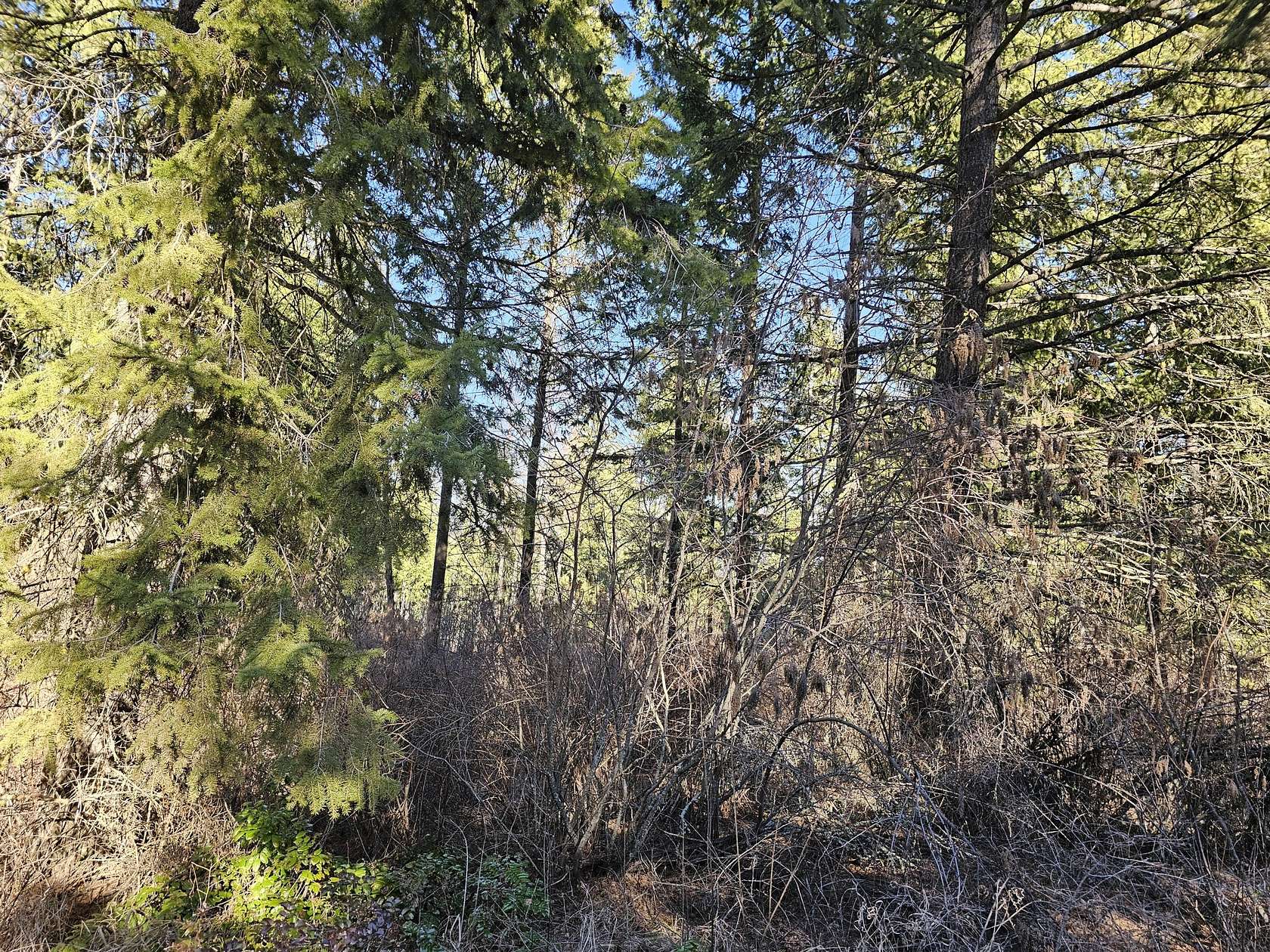 10 Acres of Land for Sale in Kettle Falls, Washington