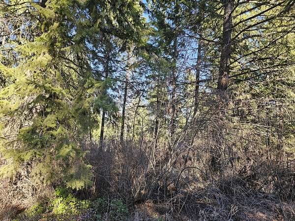 10 Acres of Land for Sale in Kettle Falls, Washington