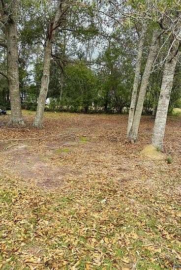 2 Acres of Residential Land for Sale in Carriere, Mississippi