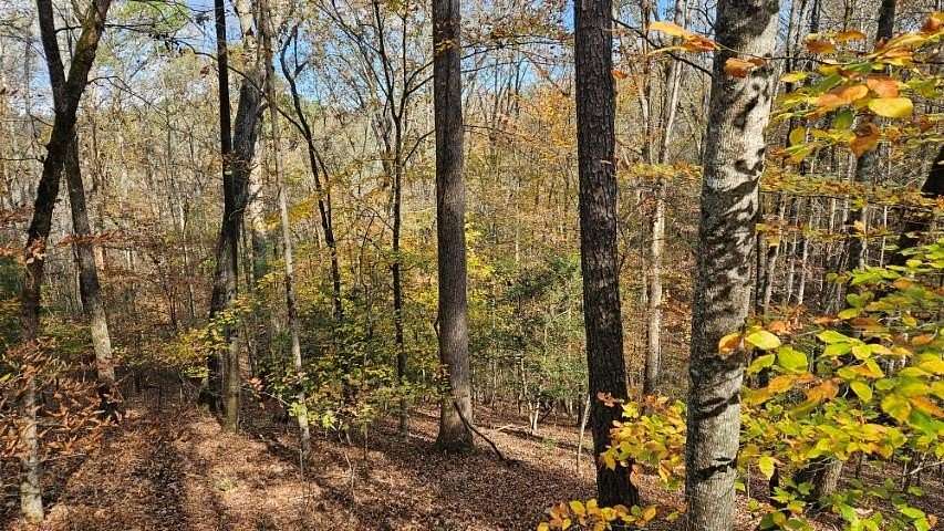 1.03 Acres of Land for Sale in Epworth, Georgia