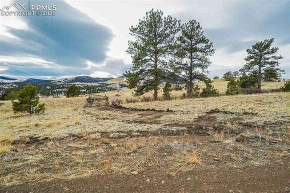 76.78 Acres of Land for Sale in Guffey, Colorado