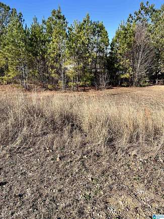 0.32 Acres of Residential Land for Sale in Calera, Alabama