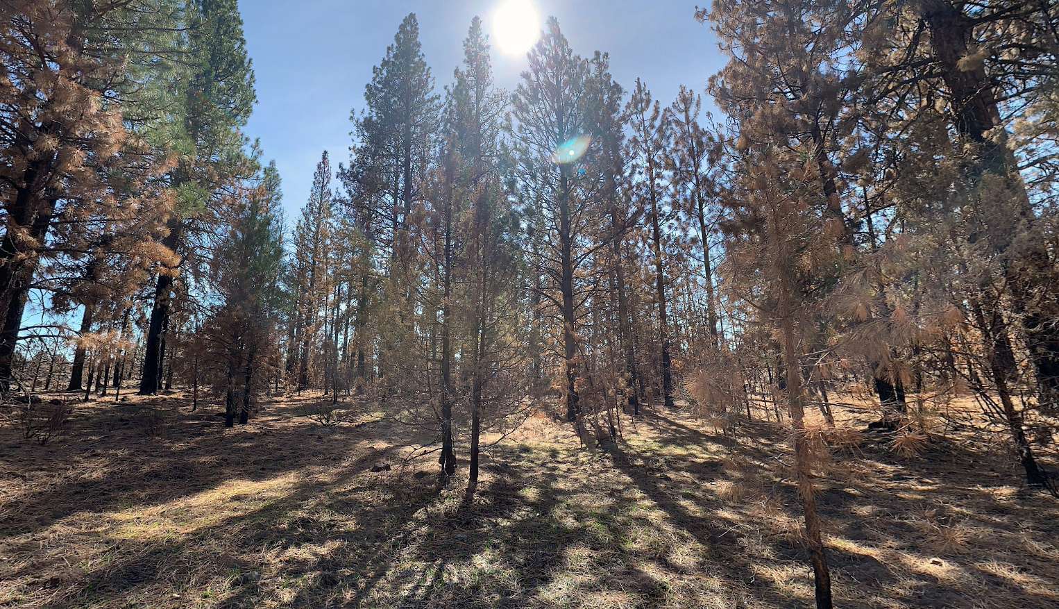 2.37 Acres of Residential Land for Sale in Chiloquin, Oregon