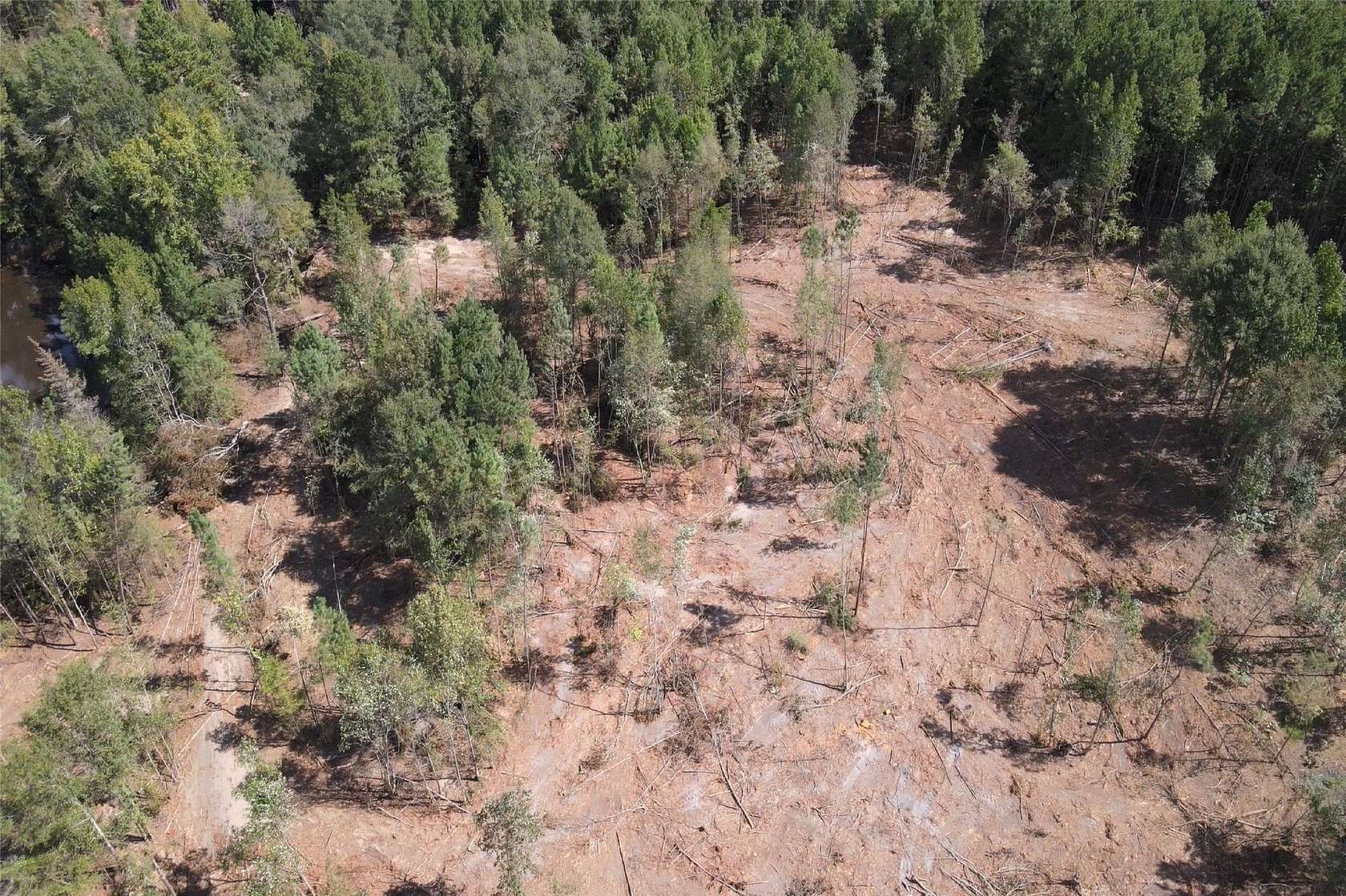 24.6 Acres of Land for Sale in Overton, Texas