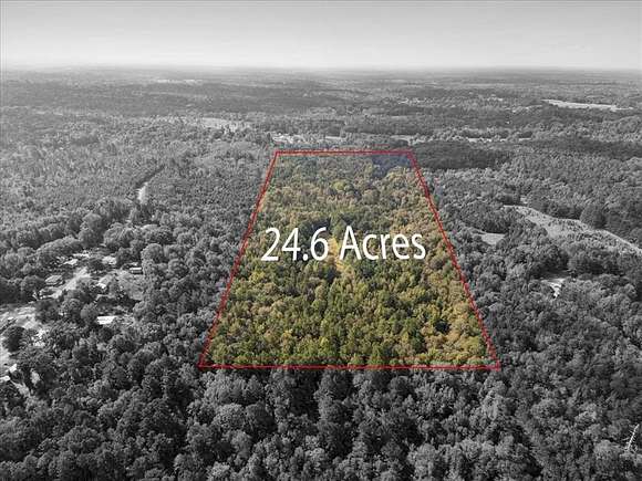 24.6 Acres of Recreational Land for Sale in Overton, Texas