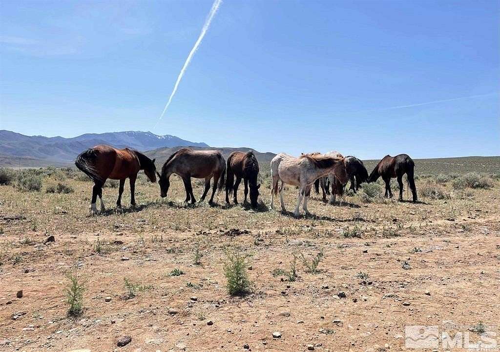 5 Acres of Residential Land for Sale in Stagecoach, Nevada