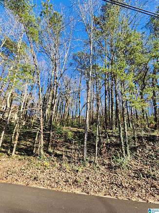 0.46 Acres of Residential Land for Sale in Birmingham, Alabama