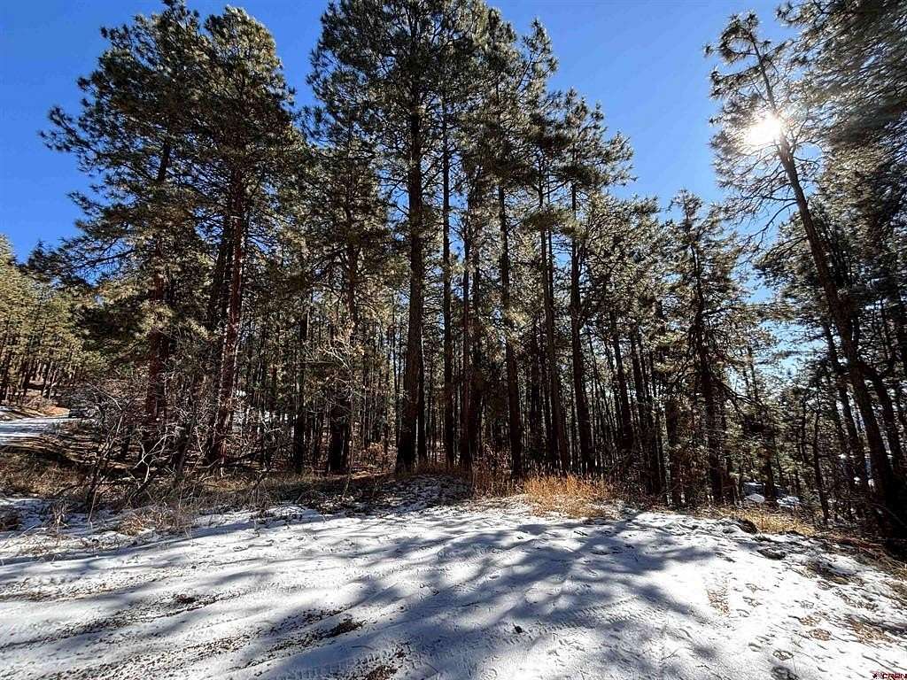 1 Acre of Residential Land for Sale in Bayfield, Colorado