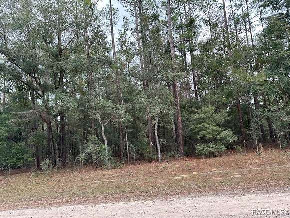 0.23 Acres of Residential Land for Sale in Citrus Springs, Florida