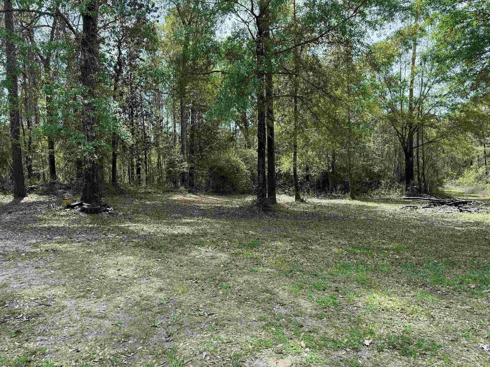 162.34 Acres of Recreational Land for Sale in Kountze, Texas