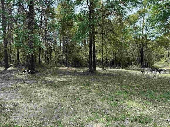 162 Acres of Recreational Land for Sale in Kountze, Texas