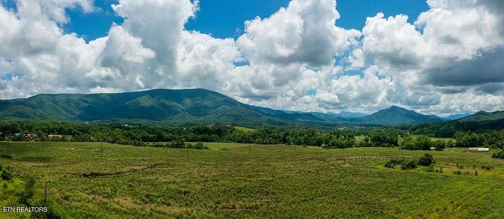 142.46 Acres of Land for Sale in Sevierville, Tennessee