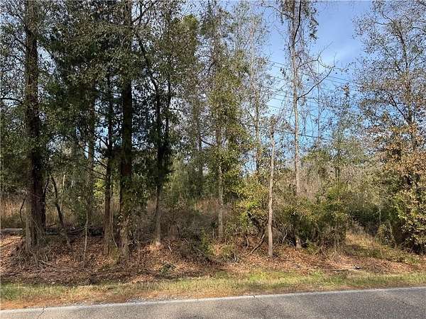 8 Acres of Residential Land for Sale in Pearl River, Louisiana