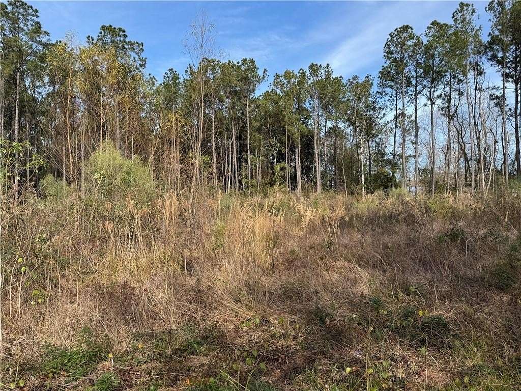 10 Acres of Commercial Land for Sale in Pearl River, Louisiana