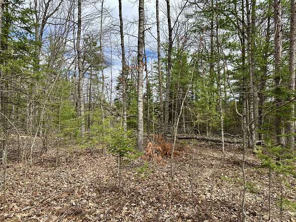 0.65 Acres of Residential Land for Sale in Indian River, Michigan