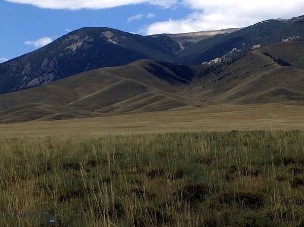 39.8 Acres of Recreational Land for Sale in Belfry, Montana