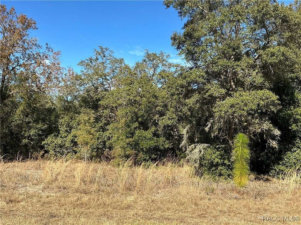 1.14 Acres of Land for Sale in Hernando, Florida