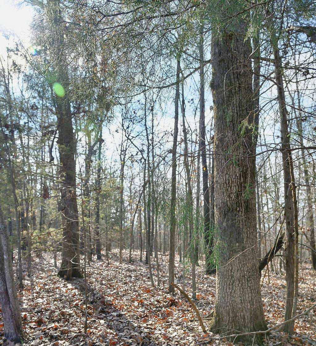 0.32 Acres of Residential Land for Sale in Horseshoe Bend, Arkansas