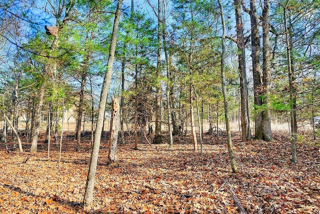 0.32 Acres of Residential Land for Sale in Horseshoe Bend, Arkansas