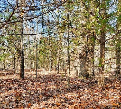 0.32 Acres of Residential Land for Sale in Horseshoe Bend, Arkansas