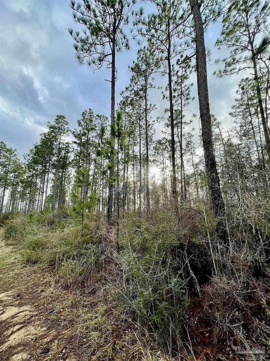 20 Acres of Recreational Land for Sale in Century, Florida