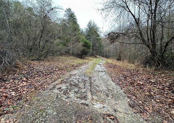 154 Acres of Recreational Land for Sale in Gate City, Virginia