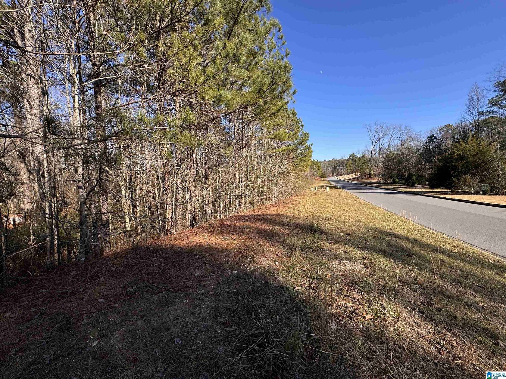 2.62 Acres of Residential Land for Sale in Alabaster, Alabama