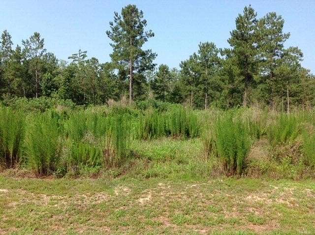 1 Acre of Land for Sale in Andalusia, Alabama