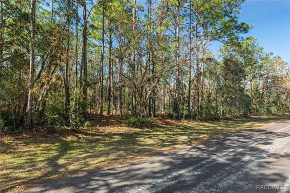 1.05 Acres of Residential Land for Sale in Lecanto, Florida