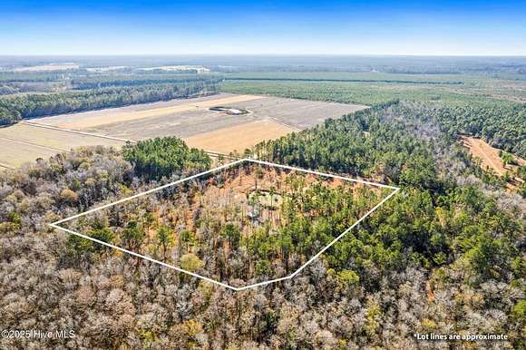 10 Acres of Recreational Land for Sale in Ash, North Carolina