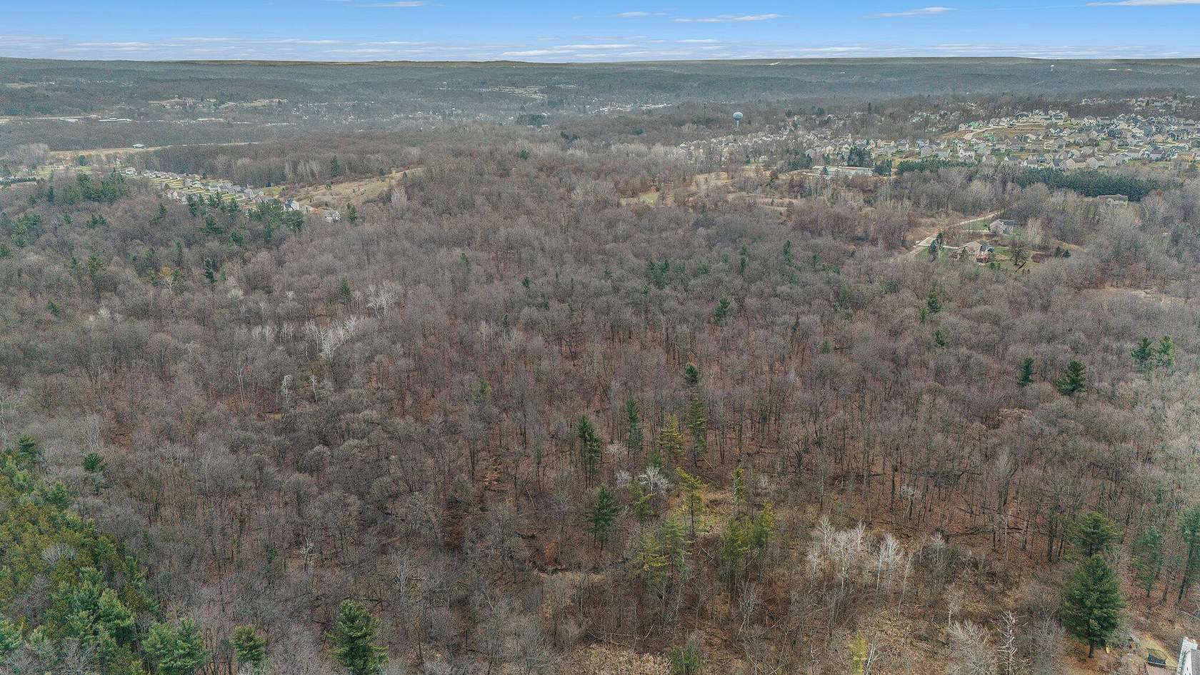 110 Acres of Land for Sale in Rockford, Michigan