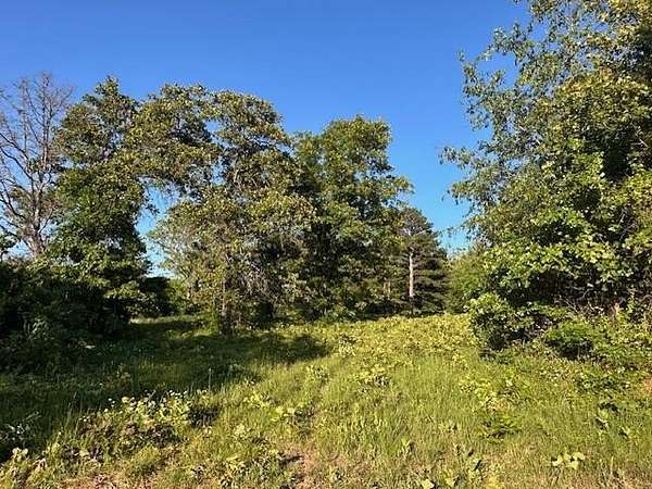 3.3 Acres of Improved Commercial Land for Sale in Mountain View, Missouri