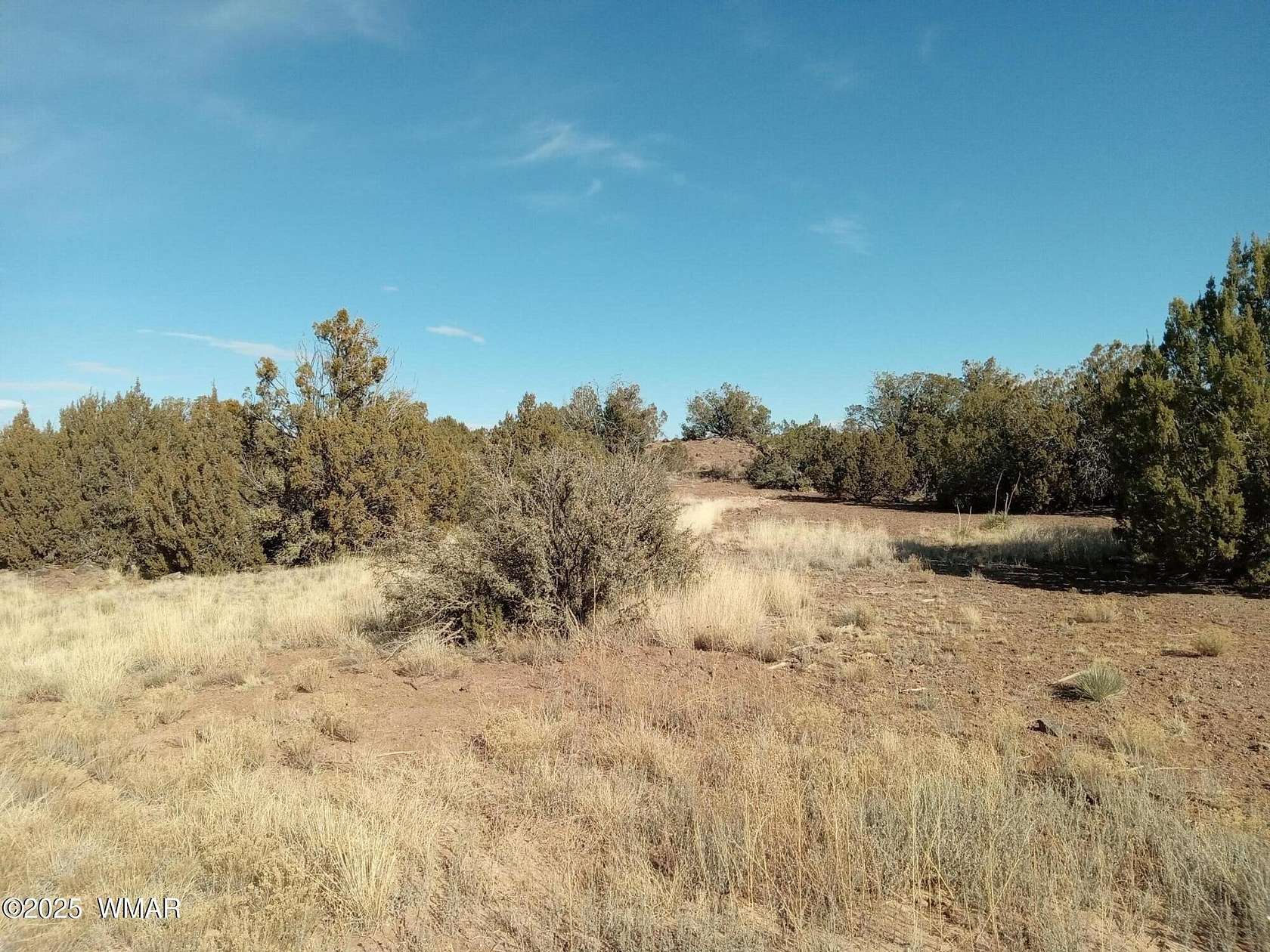 0.54 Acres of Residential Land for Sale in Show Low, Arizona