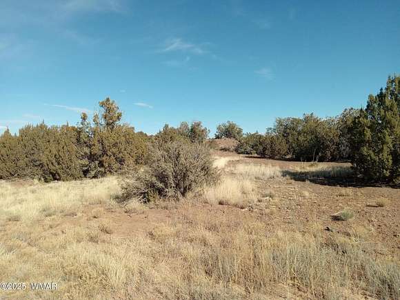 0.54 Acres of Residential Land for Sale in Show Low, Arizona