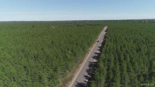 16 Acres of Recreational Land for Sale in Gwinn, Michigan