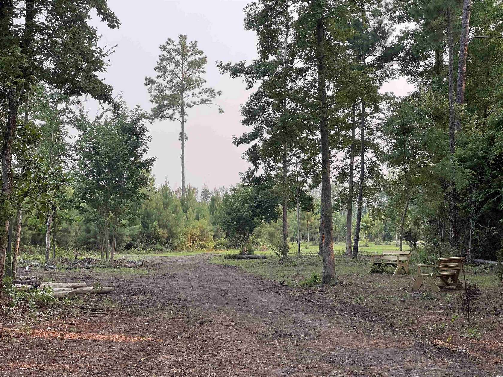 20.6 Acres of Land for Sale in Conway, South Carolina