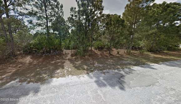 0.27 Acres of Land for Sale in Palm Bay, Florida