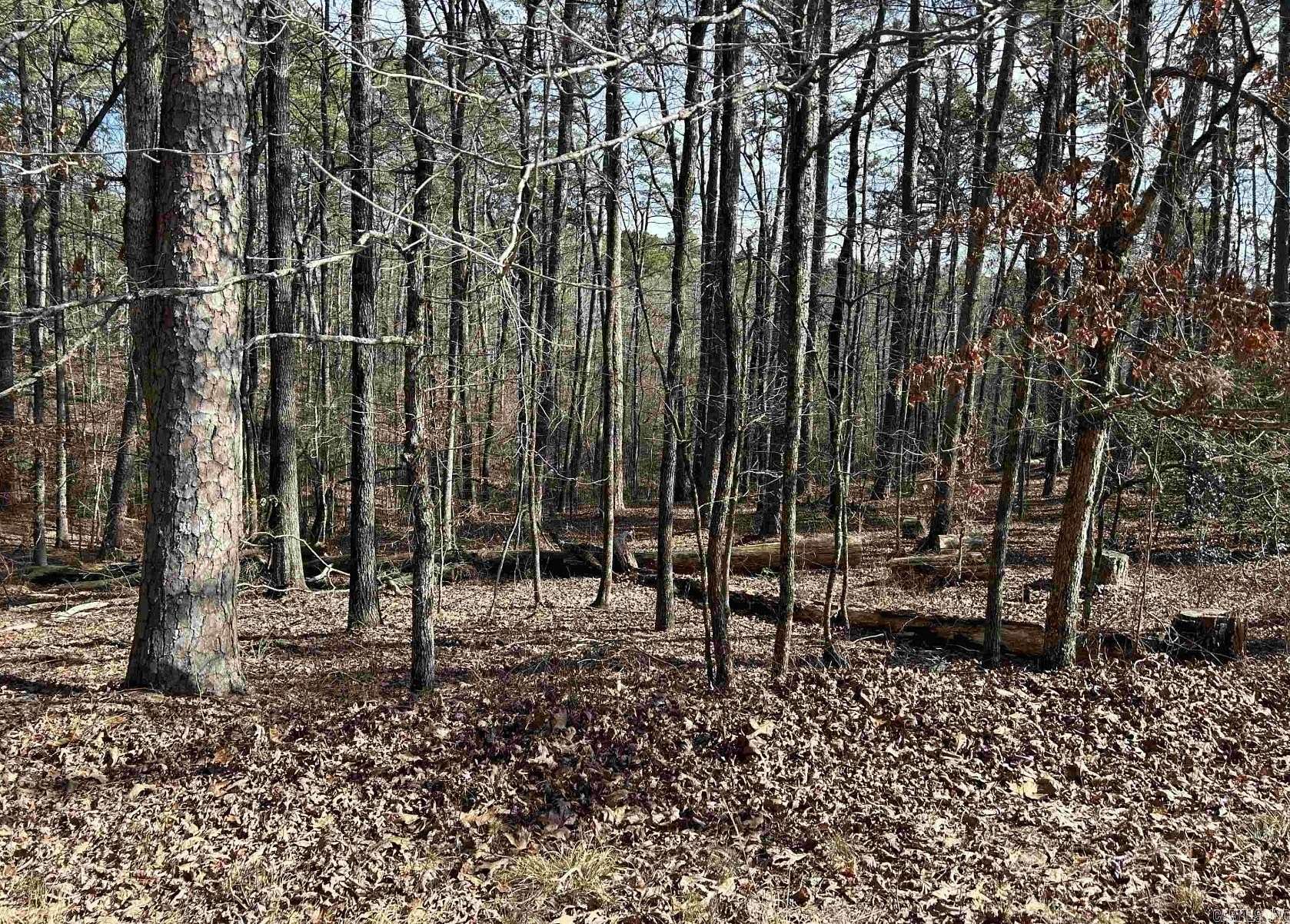 0.22 Acres of Residential Land for Sale in Hot Springs Village, Arkansas