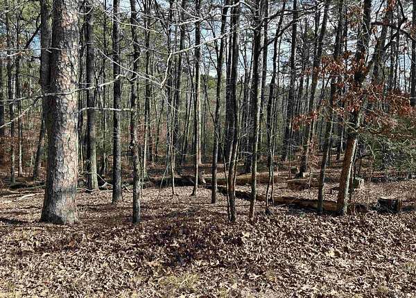 0.22 Acres of Residential Land for Sale in Hot Springs Village, Arkansas